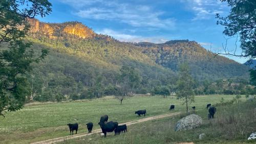 Upper Nile House | The Nile Farmstay