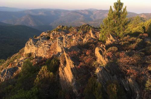 La Garde-Freinet House | The Nut House