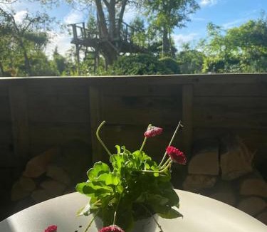 Ashford House | The Nutshell. Rural retreat