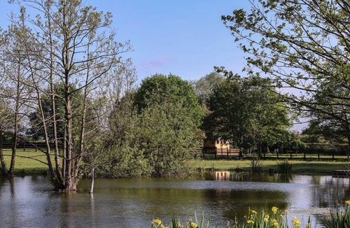 Whitchurch Cottage | The Oak Hut