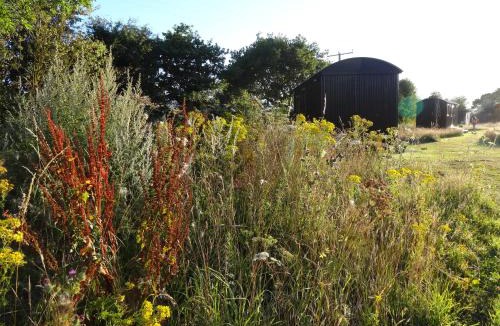 Colkirk Other | The Oaks Glamping - Pips Cabin