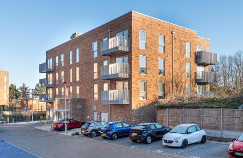 Stone Apartment | The Oasis