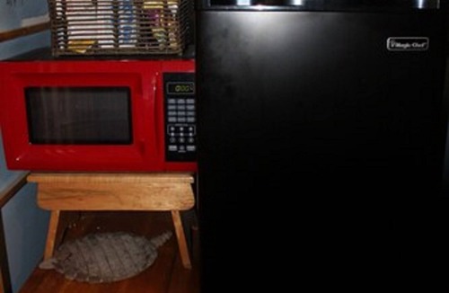 Pine Mountain Club Bed & Breakfast | The Old Bear BnB