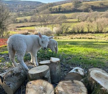 Llandovery House | The Old Milking Parlour