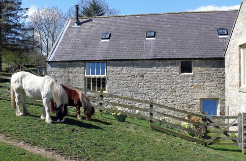 Old Bewick Cottage | The Old Mill - 28218