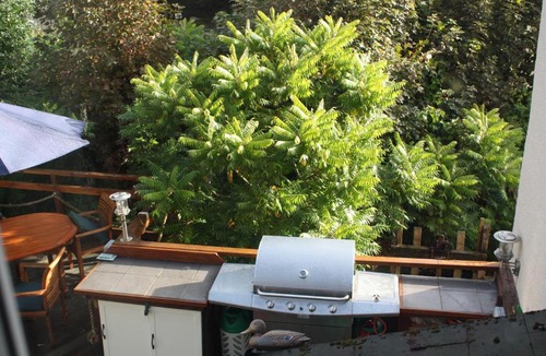 Hessenford Apartment | The Old Mill