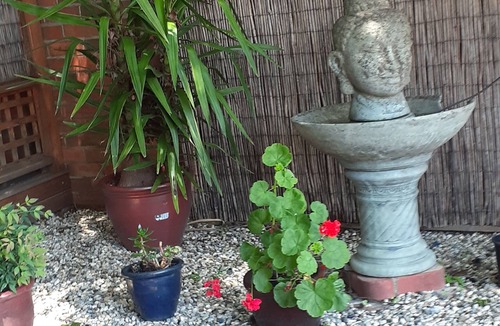 Myrtleford Apartment | The old Myrtleford Dairy