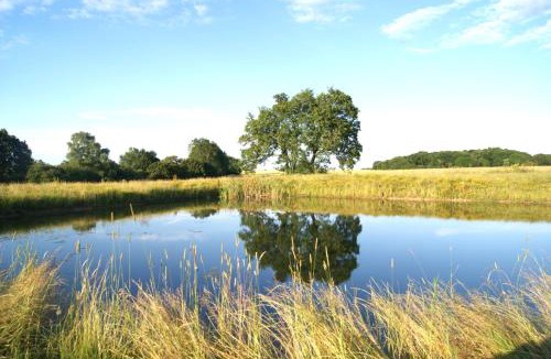 Bungay House | The Old Pump House