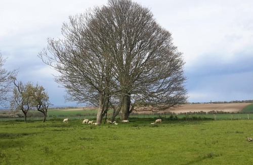 Deal House | The Old Rectory