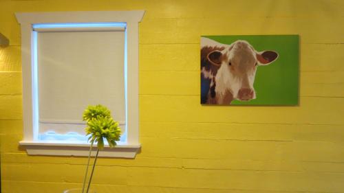 Fogo House | The Old Salt Box Co. - Daisy's Place