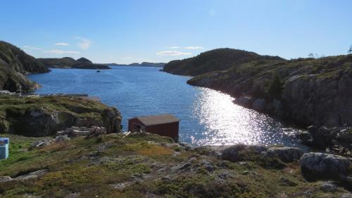 Fogo House | The Old Salt Box Co. - Daisy's Place