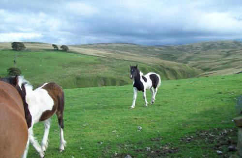 Tebay Bed & Breakfast | The Old School B&B