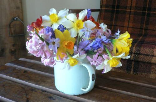 Opaki House | The Old Shepherd