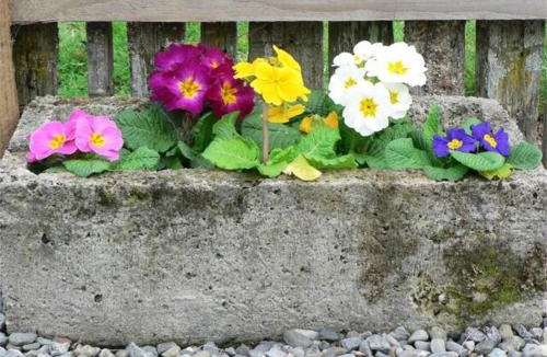 Opaki House | The Old Shepherd