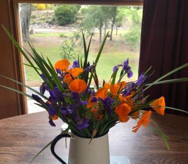 Reefton House | The Old Vicarage