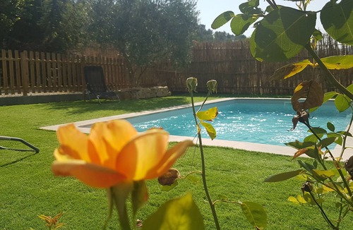 Saint-Hilaire House | The olive house