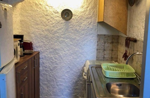 Sainte-Marie-la-Mer House | The olive tree - STE-MARIE-LA-MER