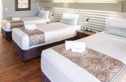 Morwell Hotel | The Olive Tree Motel