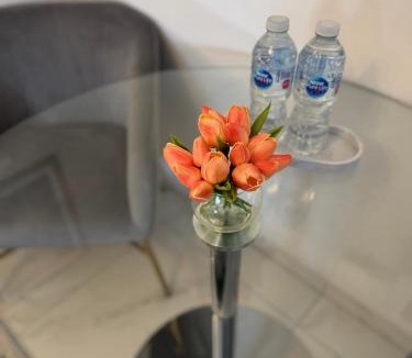 Stanwell House | The Opal Lux