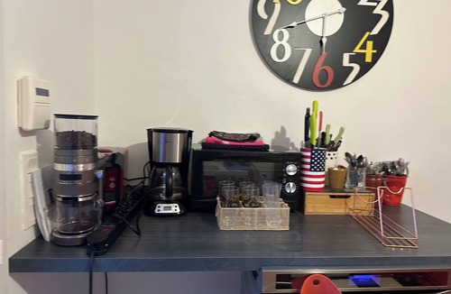 Conie-Molitard House | The open field