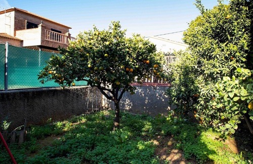 L'Eliana Ski Chalet | The Orange Lemon Tree House by Florit Flats