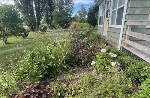 Wallace House | The Paddock