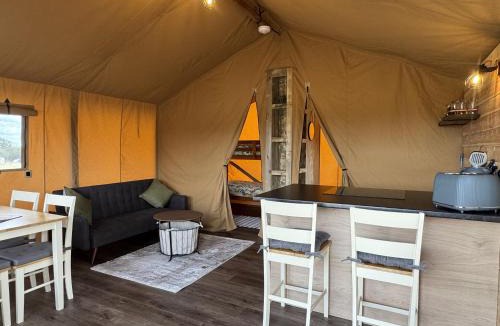 Forest of Dean Other | The Paddock