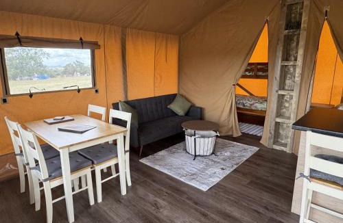 Forest of Dean Other | The Paddock