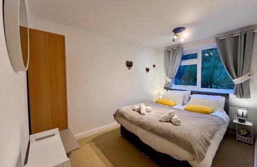 St Ives House | The Palm Tree House