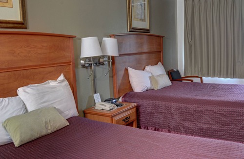 Overlook Hotel | The Palms Motel