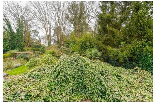 Haywards Heath Apartment | The Park Apartment