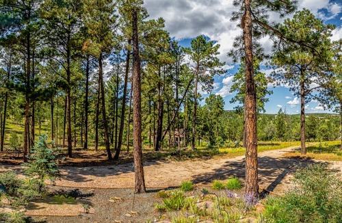 Alto House | The Peaceful Nest: 3 Bedrooms, Beautiful Scenery, Quiet Surroundings, AND a Hot Tub!