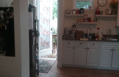 Rosemary District Apartment | The Perfect Apartment to Explore Downtown