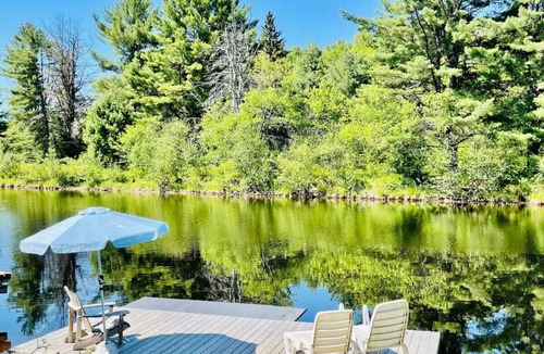 Bracebridge Cottage | The perfect blend of colour, comfort, and class