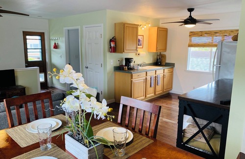 Coconut Grove Apartment | The Perfect Escape