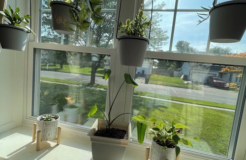 Grove City House | The Perfect Pause