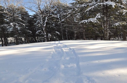 Irondale Cottage | The perfect winter escape for couples or small families!