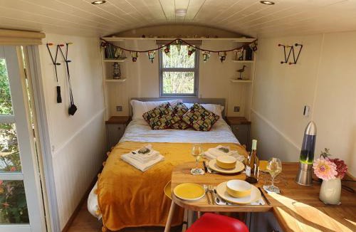 Attleborough House | The Pheasant