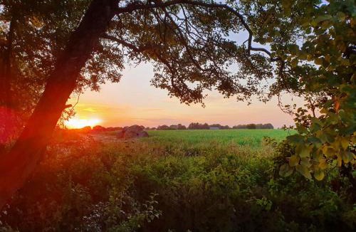 Attleborough House | The Pheasant