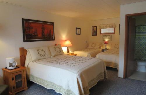 Newcastle Hotel | The Pines Country Inn