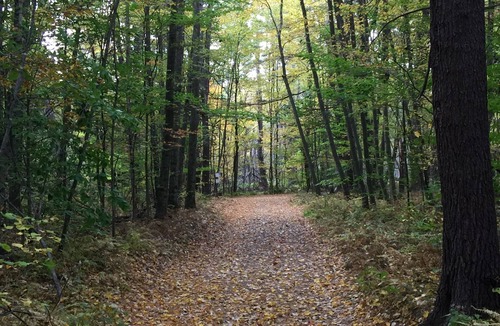 Unadilla RV Rental | The Pines Hill Top. Bring your own tent.