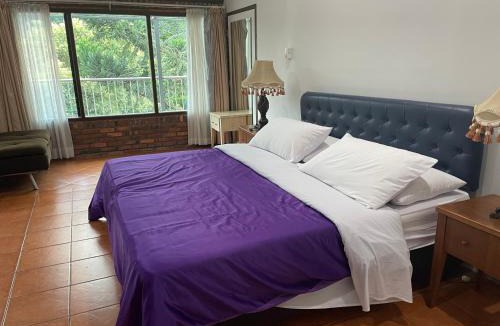 Ciloto Hotel | The Pinewood Lodge and Organic Farm