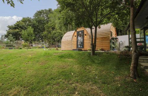 Halfway House House | The Pod