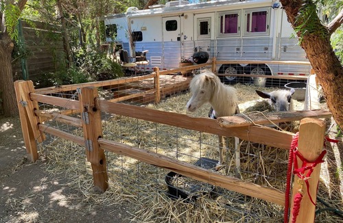 Temecula House | The Pony Experience Farm Stay! 501c3