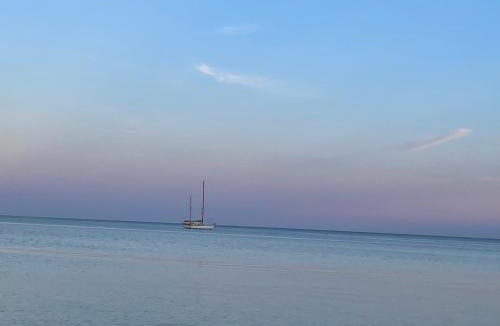 Carlyon Apartment | The Potting Shed