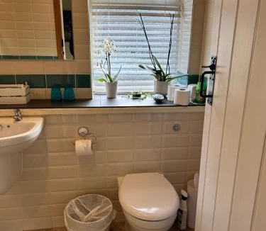 Warwick Apartment | The Potting Shed