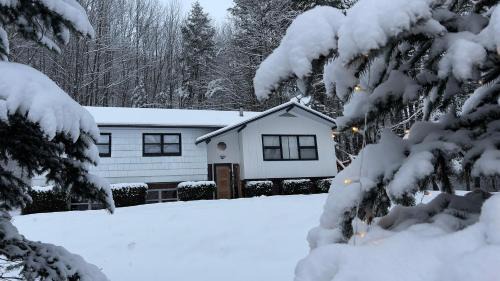 Prattsville House | The Pratt Rock House