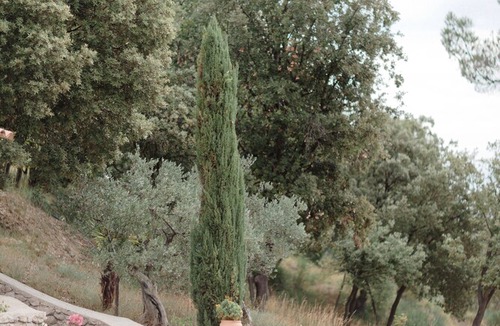 Villeneuve Apartment | The PROVENCE Dodo Apartment