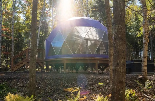 Queens County Cabin | The Purple Violet