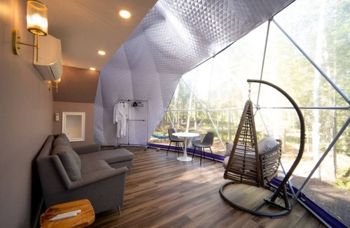 Queens County Cabin | The Purple Violet